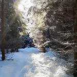 Hotel Comfort-hotel Garni Schierker Waldperle - Inklusive Wellness