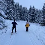 Hotel Comfort-hotel Garni Schierker Waldperle - Inklusive Wellness *