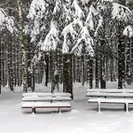 Hotel Comfort-hotel Garni Schierker Waldperle - Inklusive Wellness