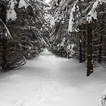 Comfort-hotel Garni Schierker Waldperle - Inklusive Wellness Hotel Schierke