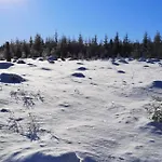 Comfort-hotel Garni Schierker Waldperle - Inklusive Wellness *