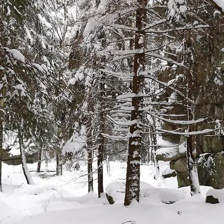 Szálloda Comfort-hotel Garni Schierker Waldperle - Inklusive Wellness *