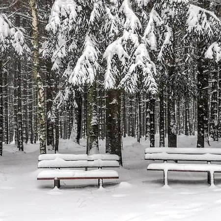 Hotel Comfort-hotel Garni Schierker Waldperle - Inklusive Wellness