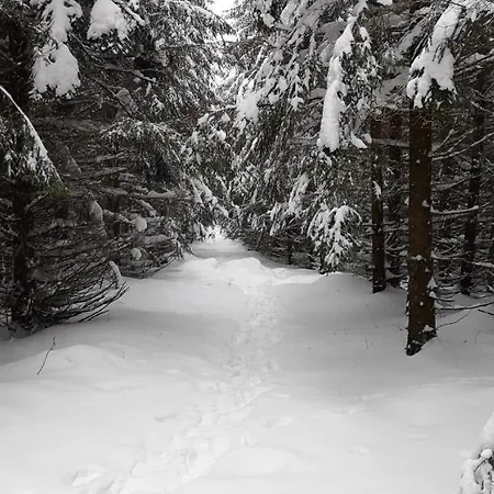 Comfort-hotel Garni Schierker Waldperle - Inklusive Wellness Hotel Schierke