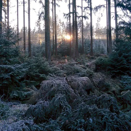 Comfort-hotel Garni Schierker Waldperle - Inklusive Wellness * Schierke