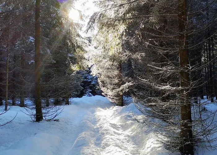 Hotel Comfort-hotel Garni Schierker Waldperle - Inklusive Wellness