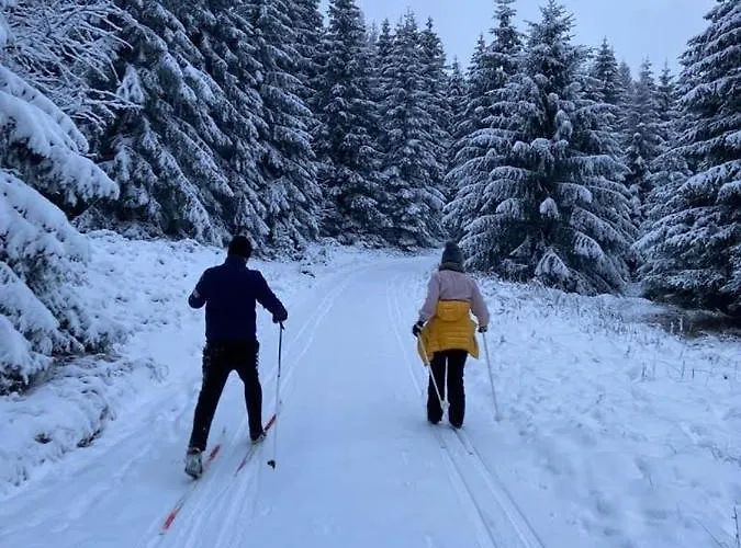 Hotel Comfort-hotel Garni Schierker Waldperle - Inklusive Wellness *