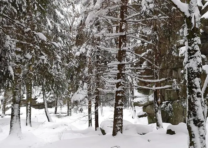 Hotel Comfort-hotel Garni Schierker Waldperle - Inklusive Wellness *