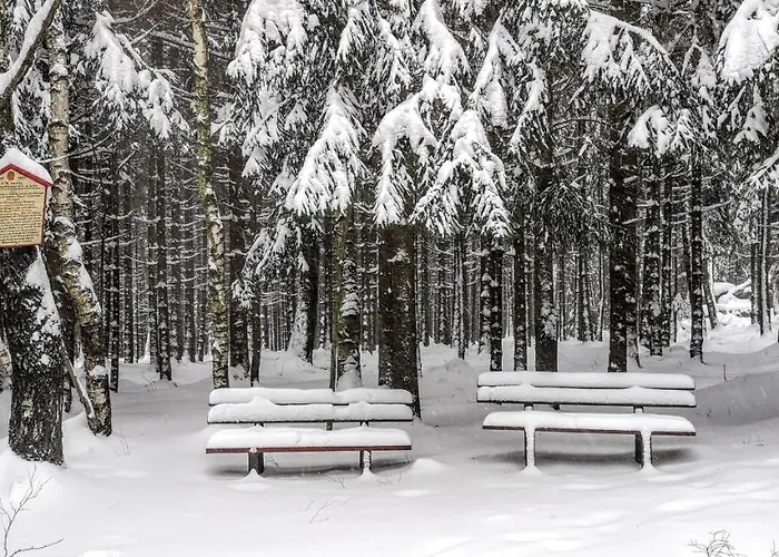 Hotel Comfort-hotel Garni Schierker Waldperle - Inklusive Wellness