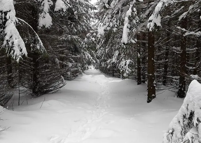 Comfort-hotel Garni Schierker Waldperle - Inklusive Wellness Hotel Schierke