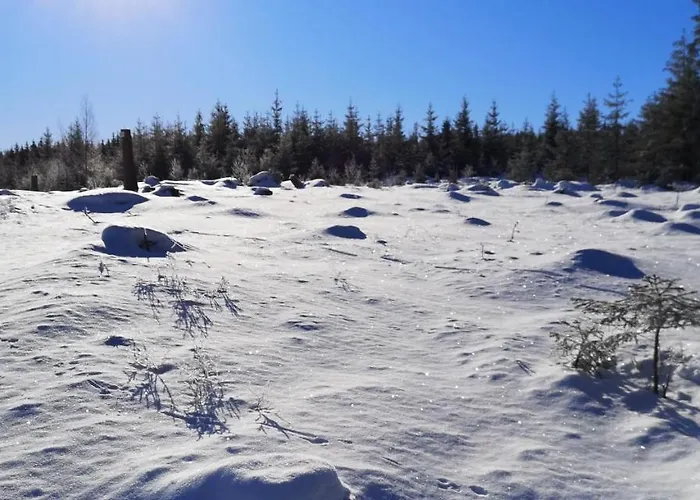 Comfort-hotel Garni Schierker Waldperle - Inklusive Wellness *