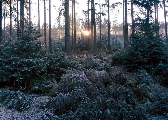 Comfort-hotel Garni Schierker Waldperle - Inklusive Wellness * 施尔奇